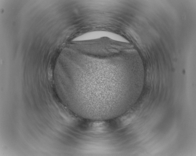 X0000088730173200706141647
