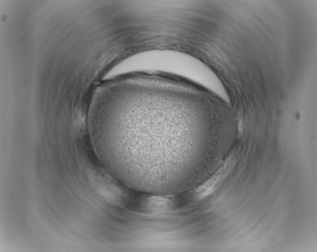 X0000088730176200706141647