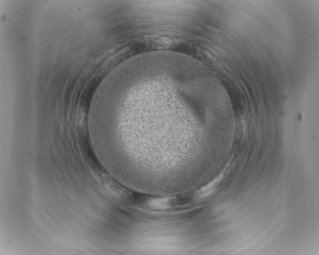 X0000088730178200706141647