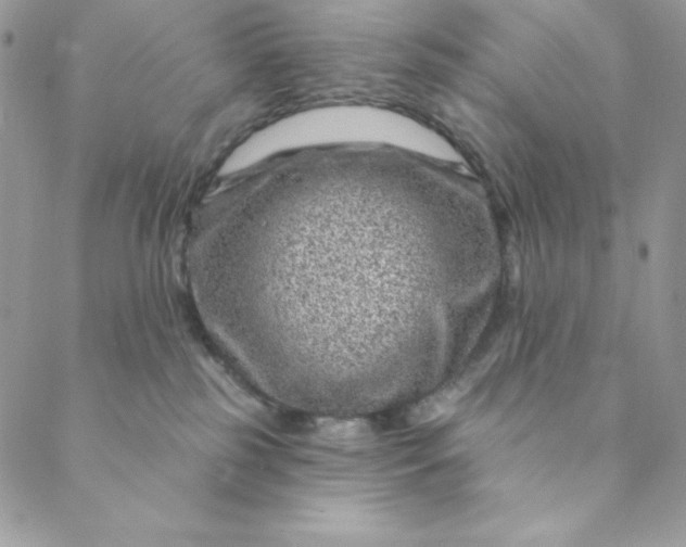 X0000088730185200706141647