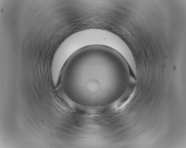 X0000088730186200706141647