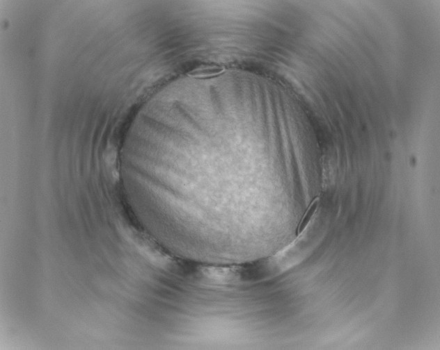 X0000088730187200706141647