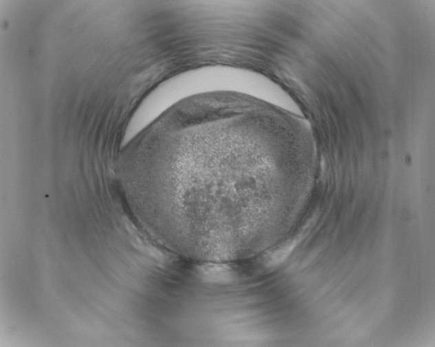 X0000088730189200706141647