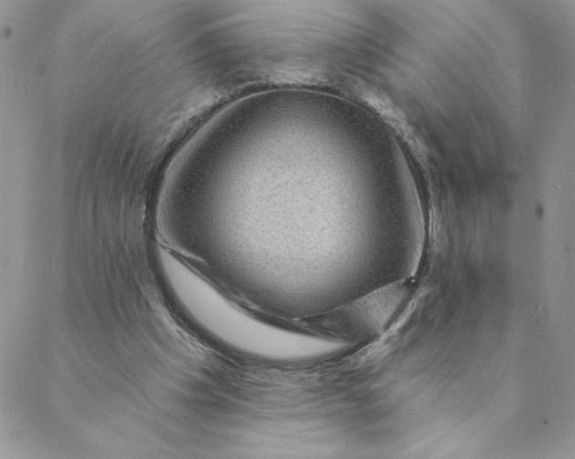 X0000088730201200706141646