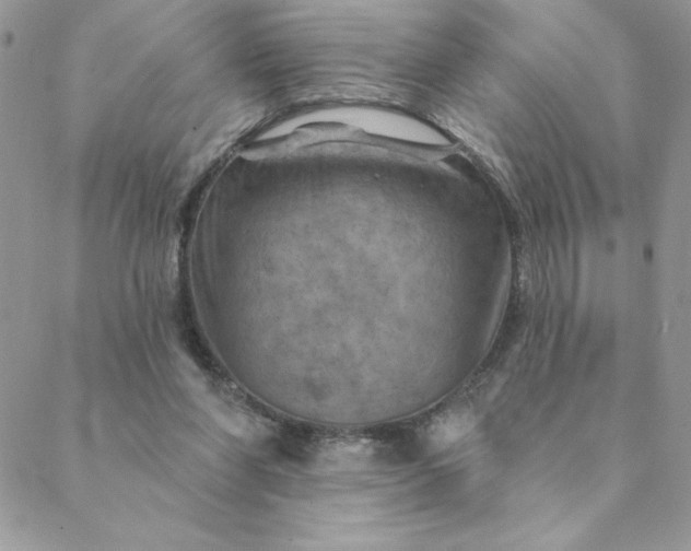 X0000088730206200706141646