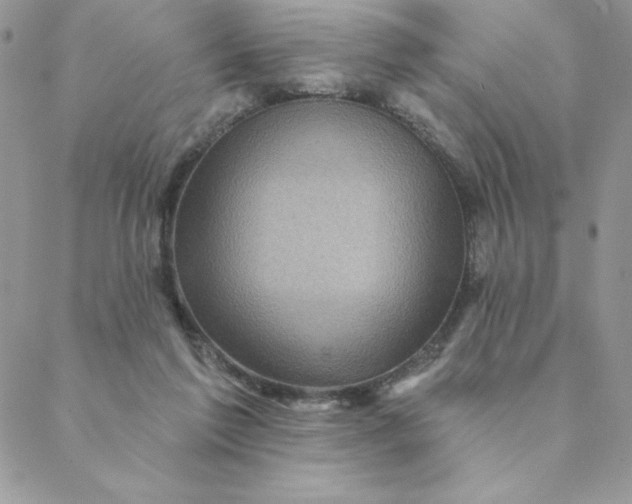 X0000088730213200706141646