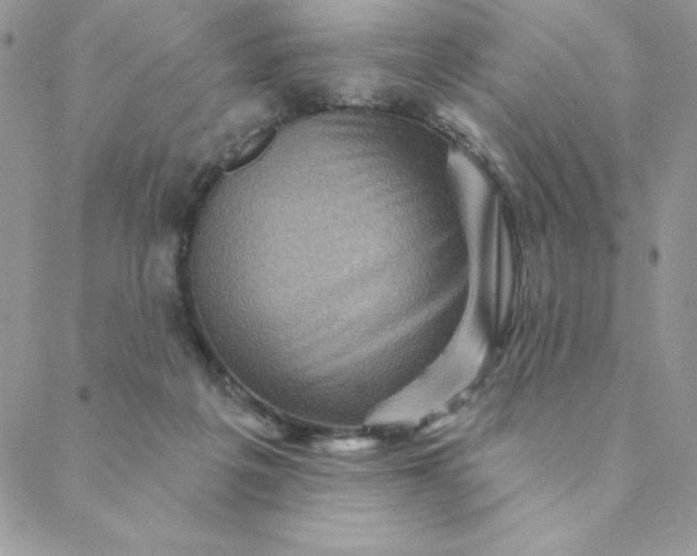 X0000088730217200706141646