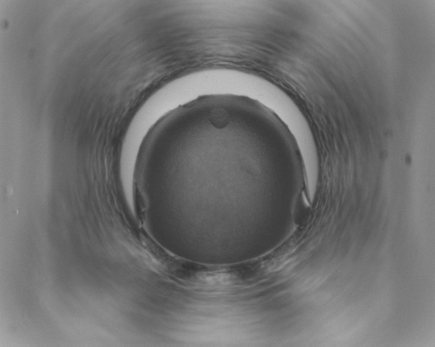X0000088730219200706141646