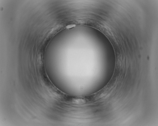 X0000088730220200706141646