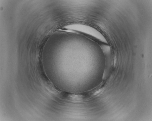 X0000088730221200706141646