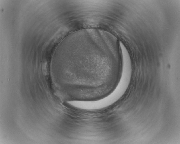 X0000088730224200706141646
