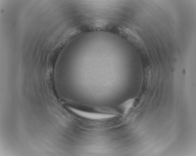 X0000088730225200706141646