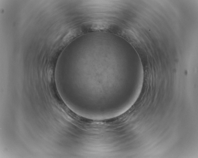 X0000088730227200706141646
