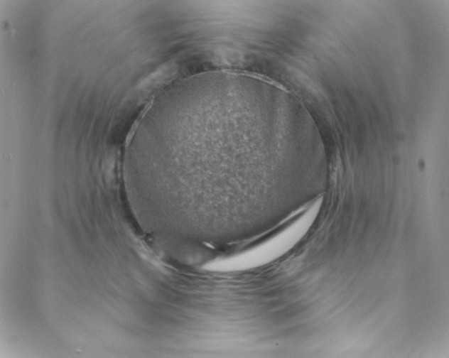 X0000088730233200706141646