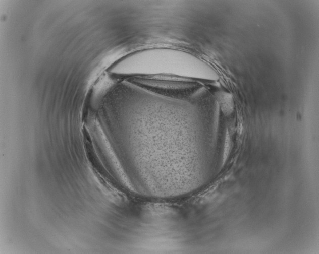 X0000088730244200706141645