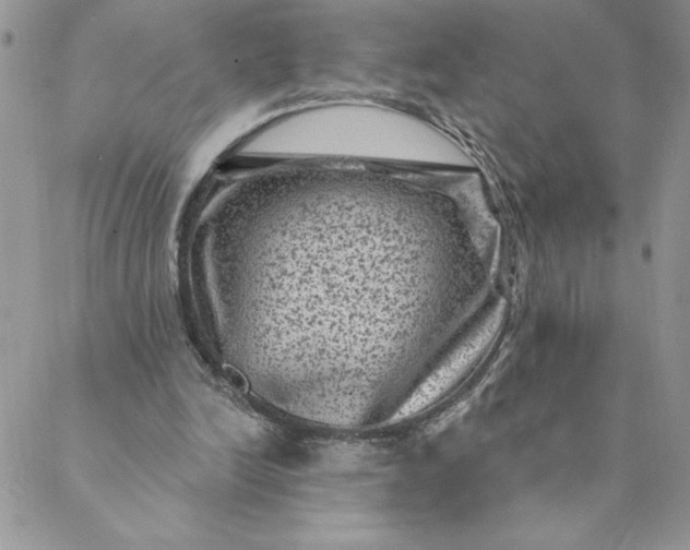 X0000088730246200706141645