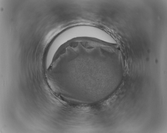 X0000088730247200706141645