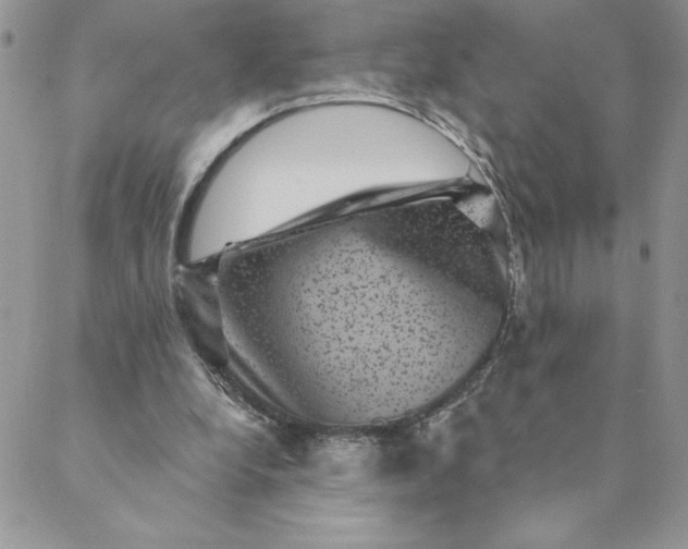 X0000088730248200706141645