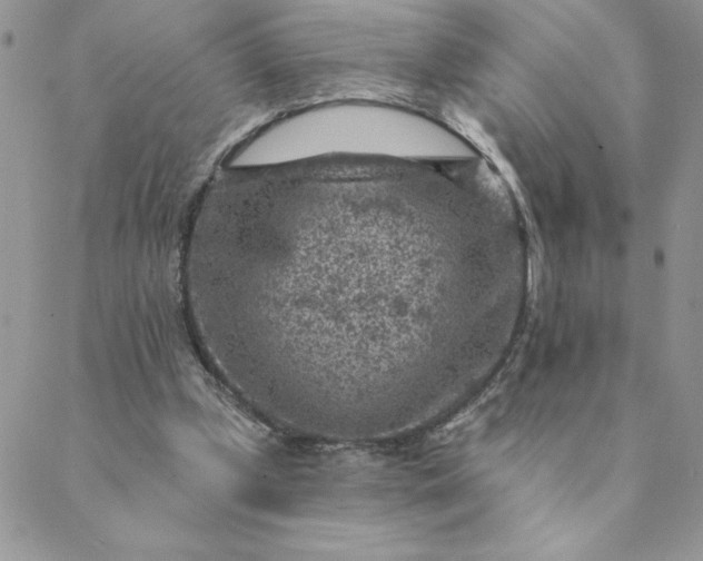 X0000088730249200706141645