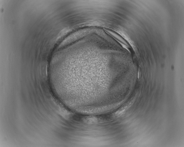 X0000088730253200706141645