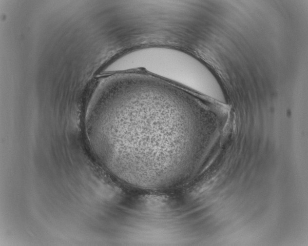 X0000088730255200706141645