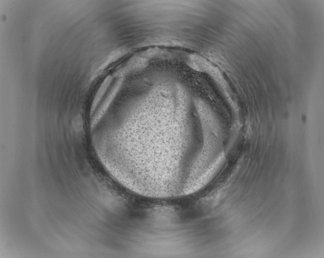 X0000088730256200706141645