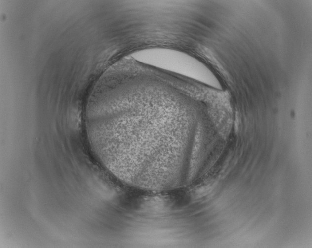 X0000088730259200706141645