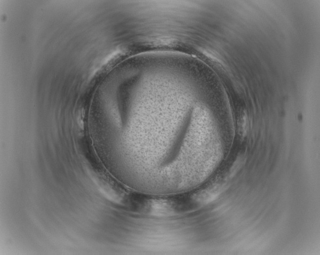 X0000088730264200706141645