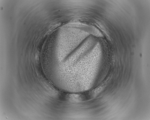 X0000088730265200706141645