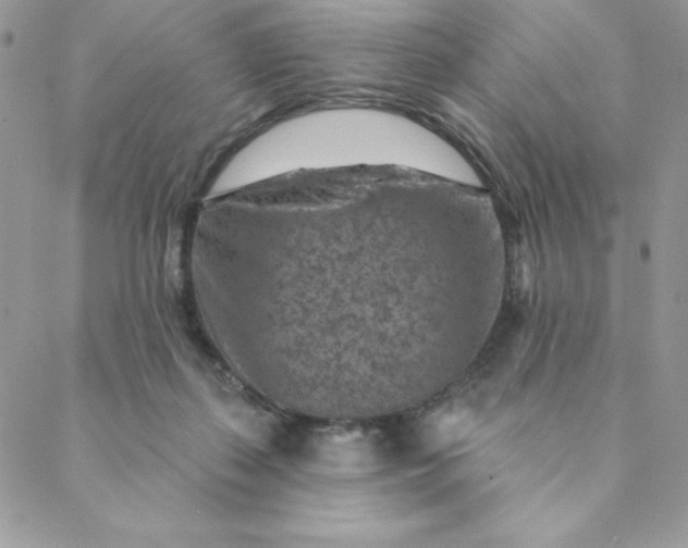X0000088730267200706141645