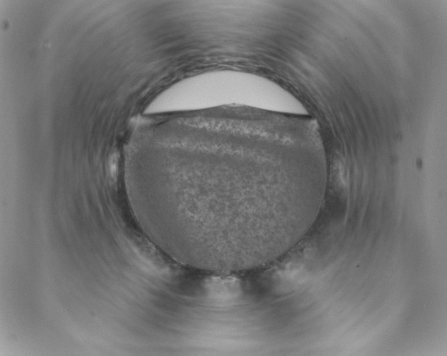 X0000088730271200706141645