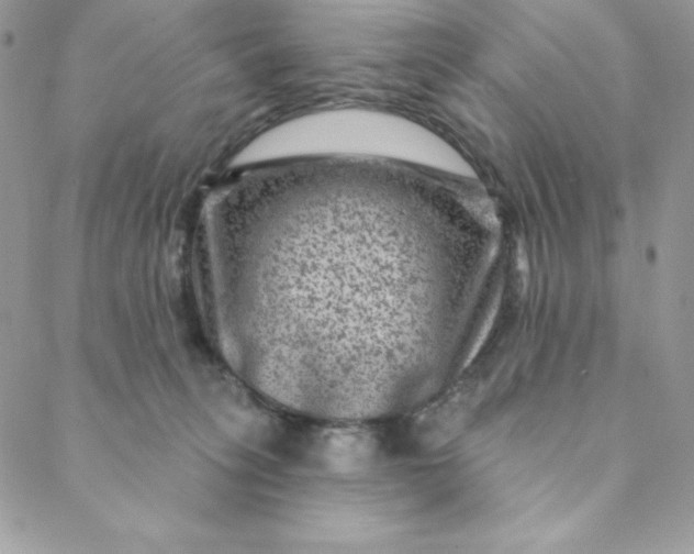 X0000088730275200706141645