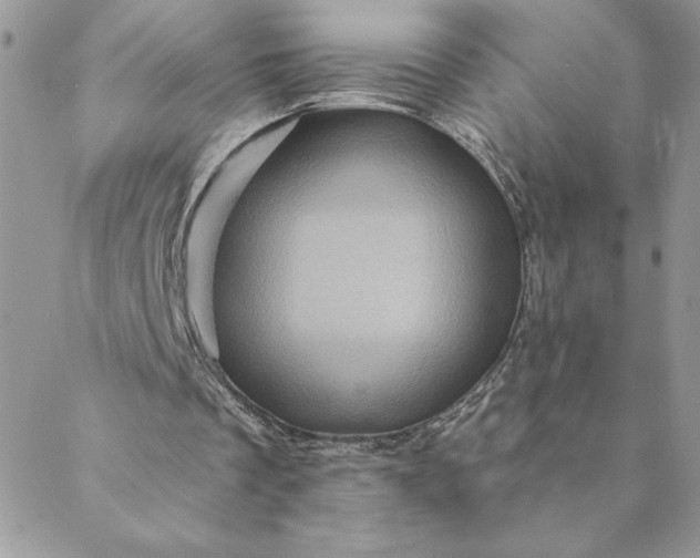 X0000088730289200706141645