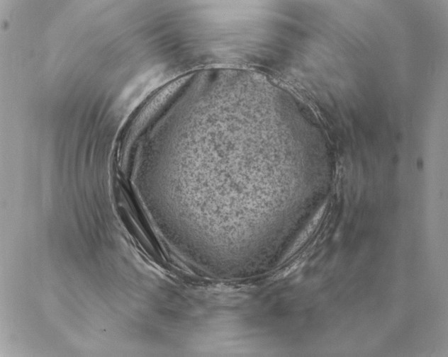 X0000088730290200706141645