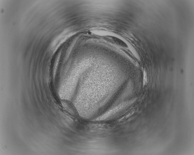 X0000088730291200706141645