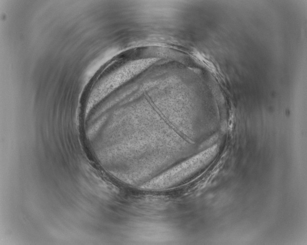 X0000088730292200706141645