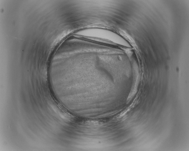 X0000088730298200706141645