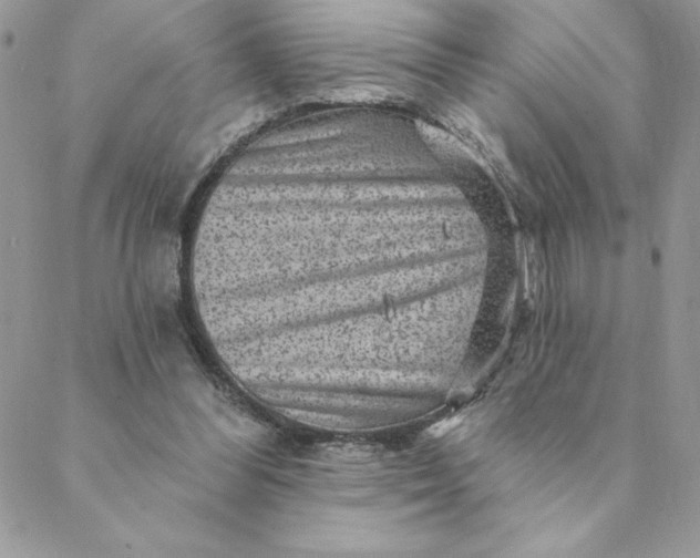X0000088730300200706141645