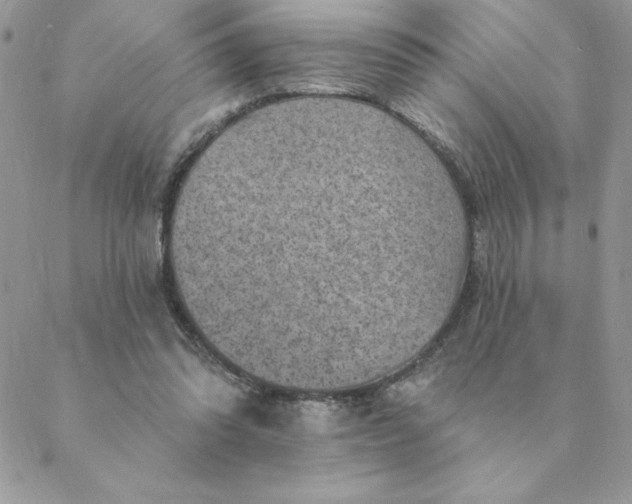 X0000088730302200706141645