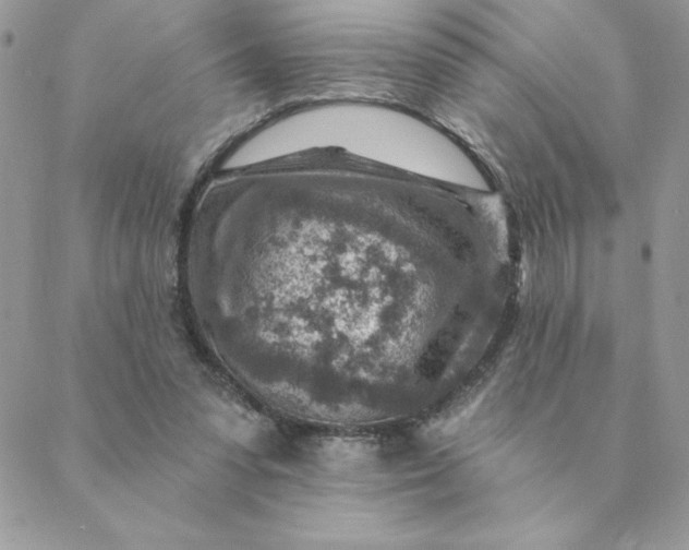 X0000088730303200706141645