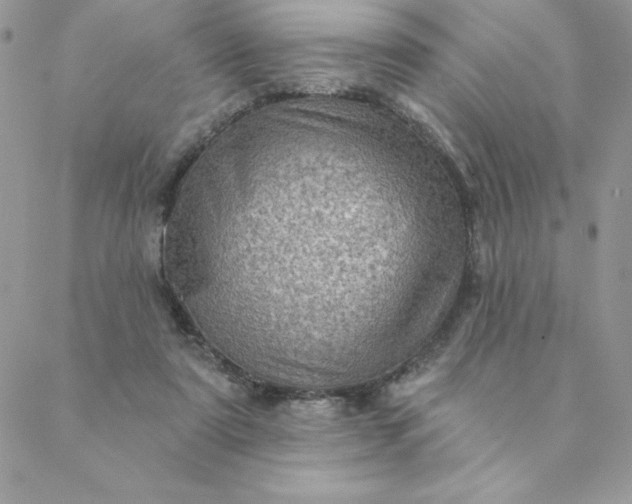 X0000088730307200706141645