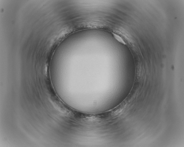 X0000088730310200706141645