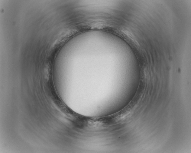 X0000088730311200706141645