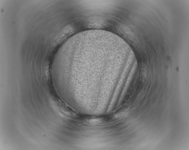 X0000088730312200706141645