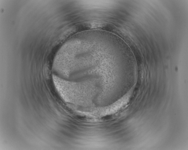 X0000088730316200706141644