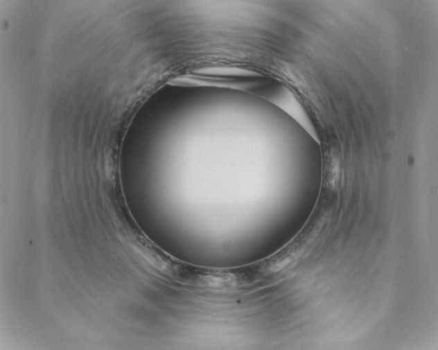 X0000088730317200706141644