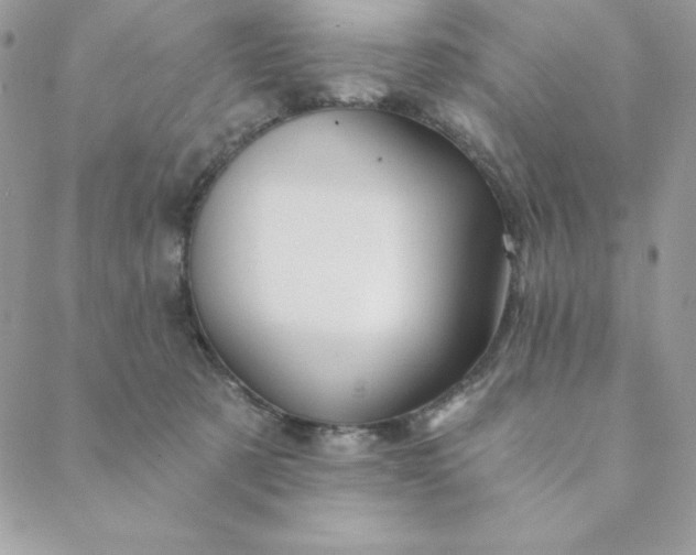 X0000088730321200706141644