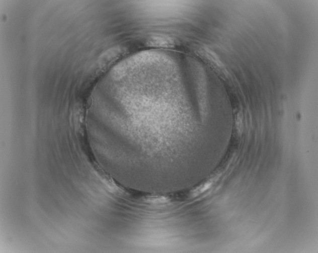 X0000088730322200706141644