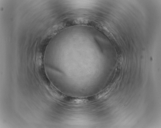X0000088730323200706141644