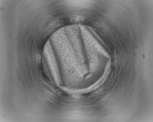 X0000088730324200706141644